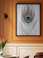 Peacock Feather