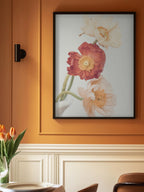 Poppies