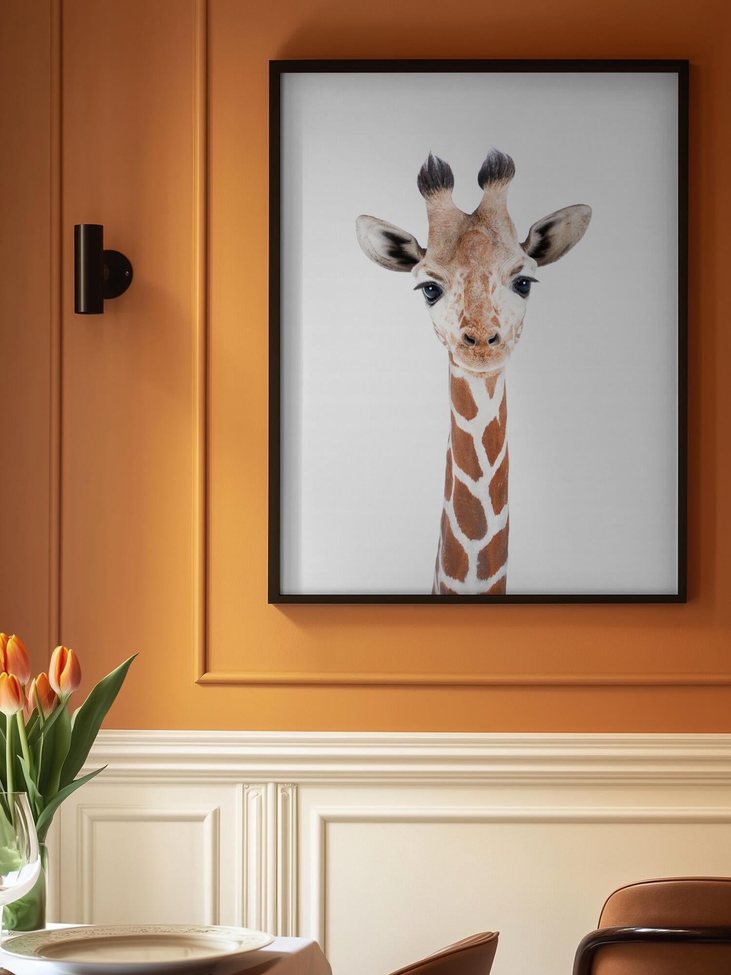 Baby Giraffe