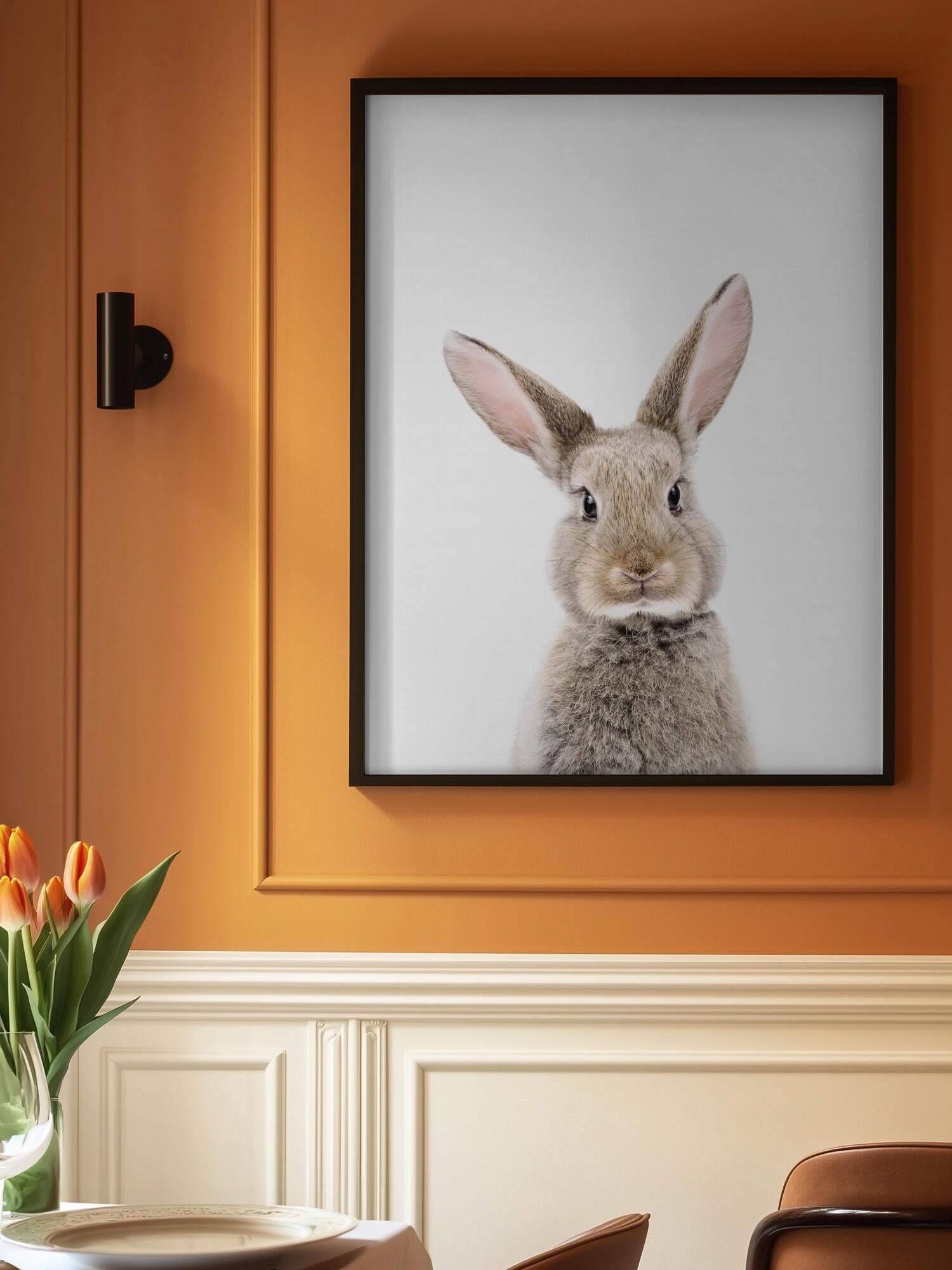 Baby Rabbit