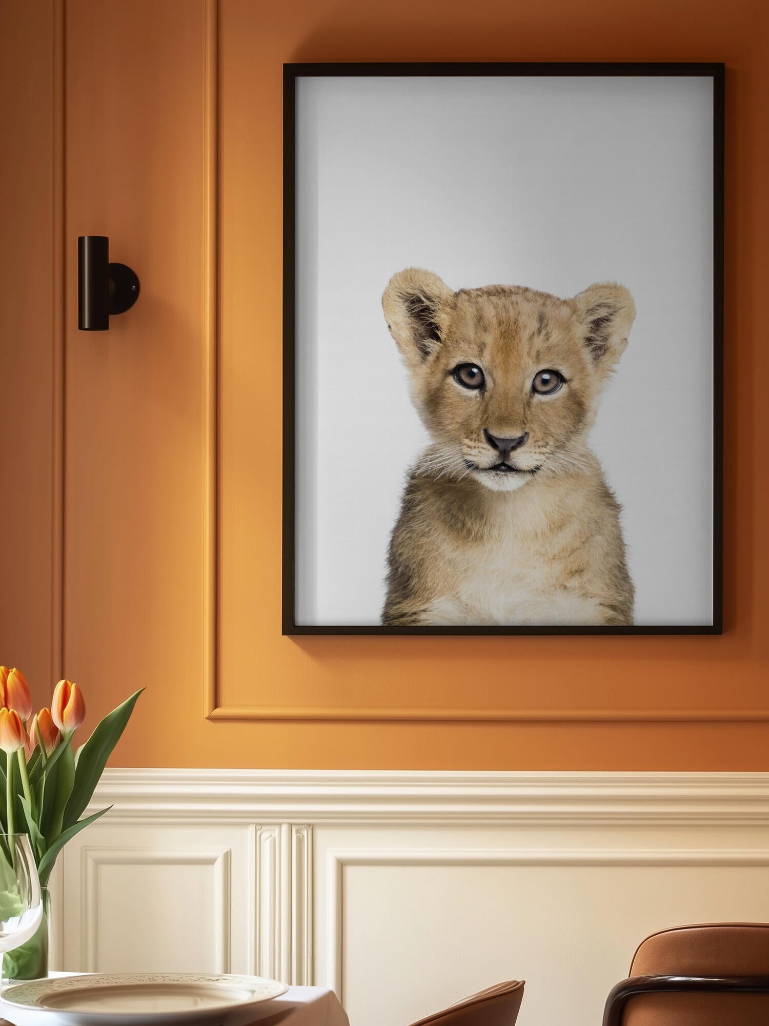 Baby Lion