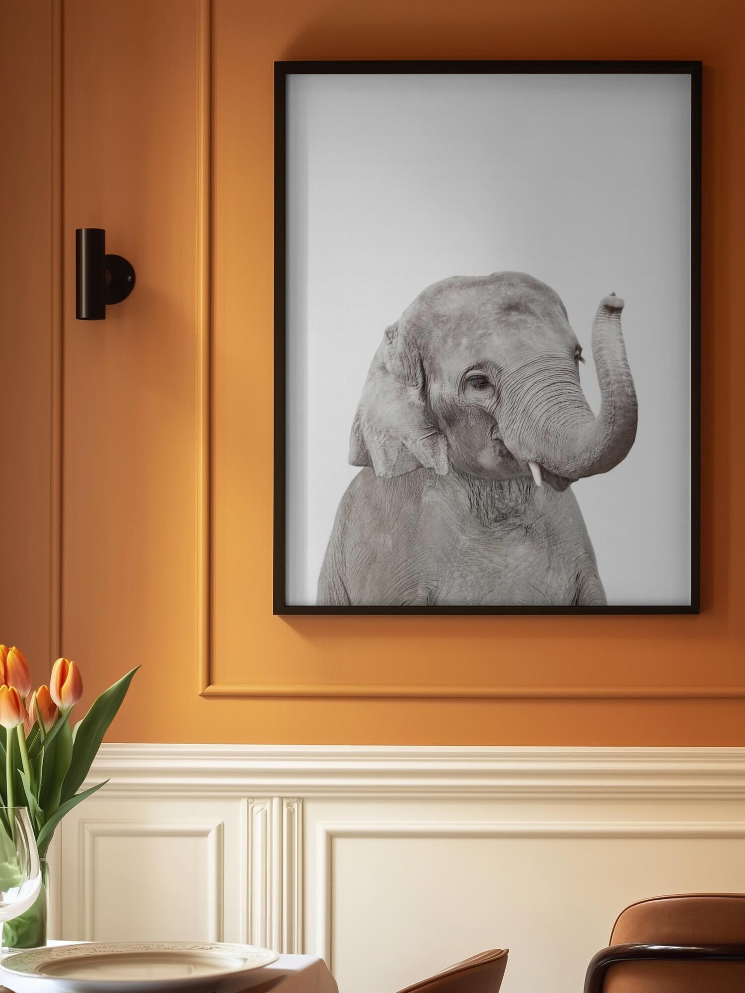 Baby Elephant