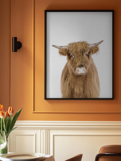 Baby Cow