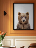 Baby Bear