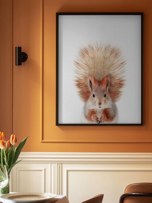 Baby Squirel
