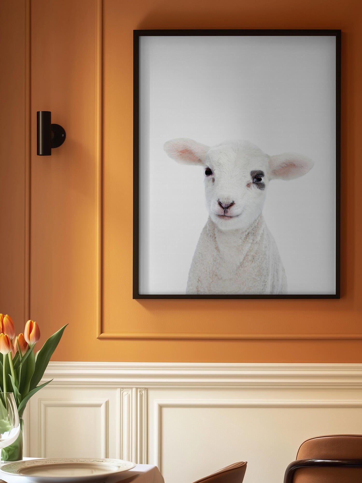 Baby Lamb