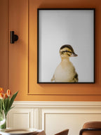Baby Duck