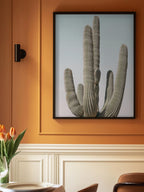 Saguaro