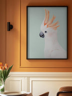Cockatoo