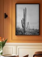 Saguaro B&amp;W