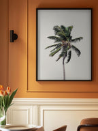 Windy Palm Tree