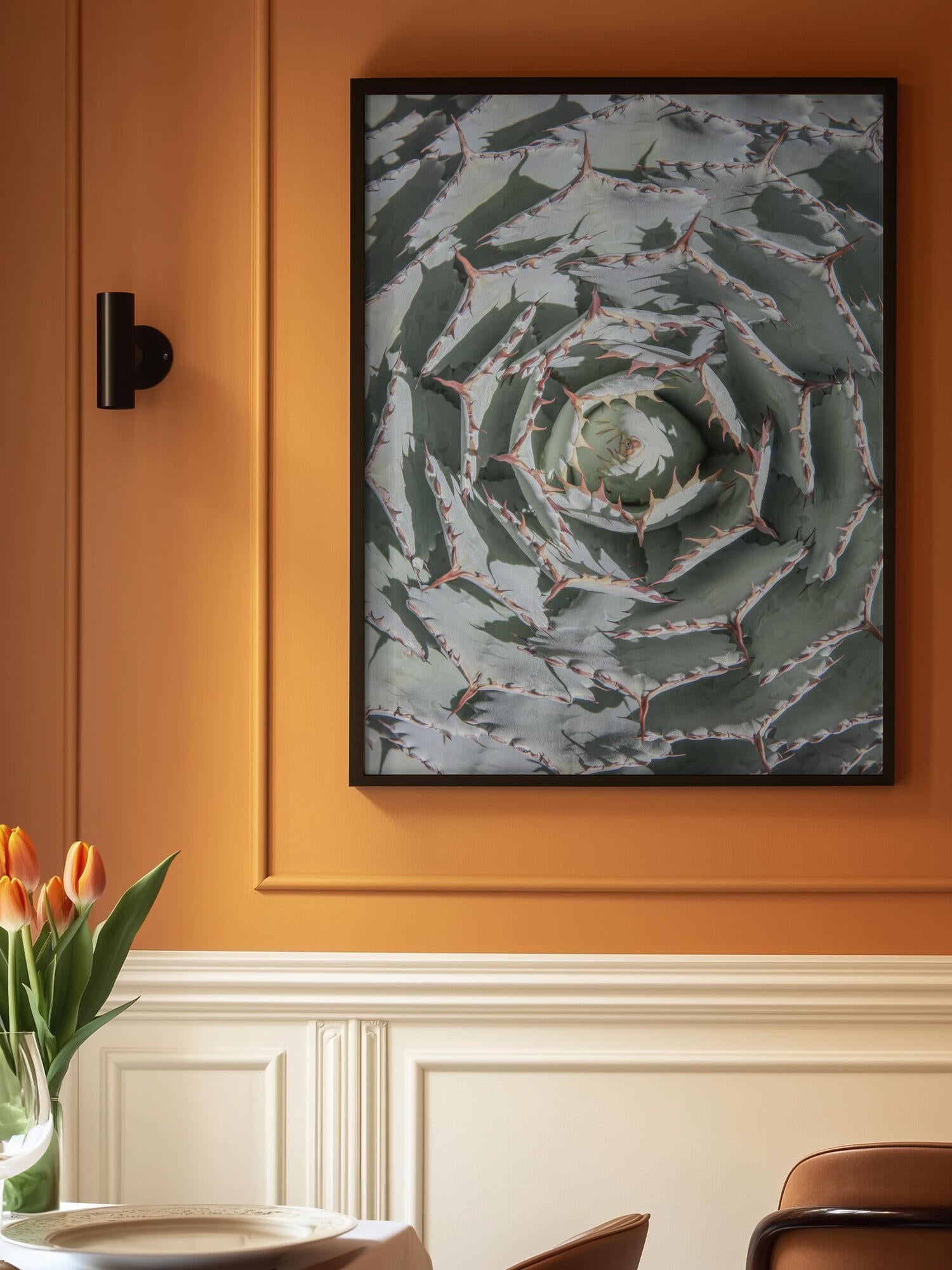 Spiral Succulent Maze