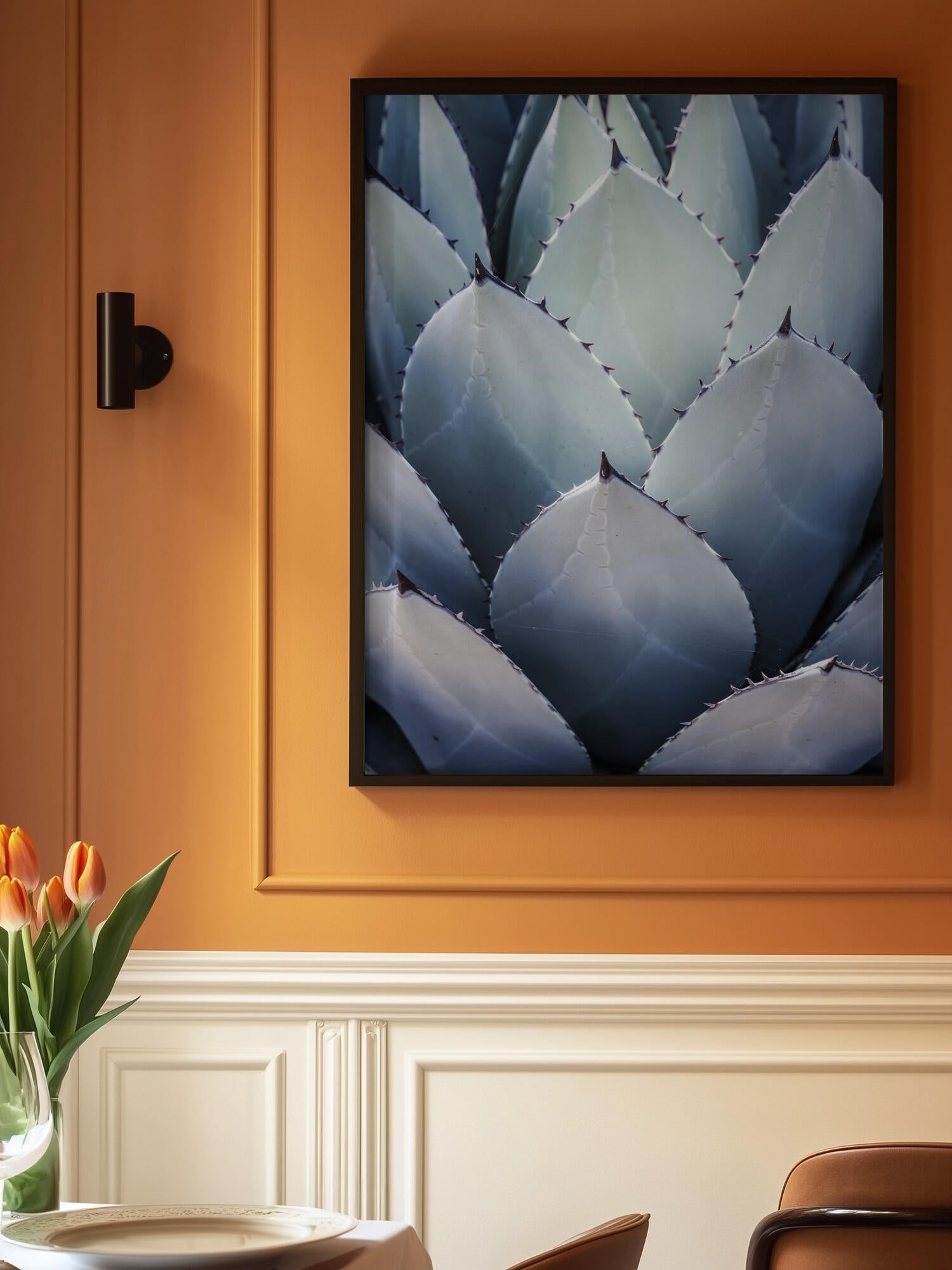 Agave Geometry
