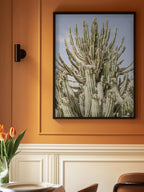 Cactus Symphony