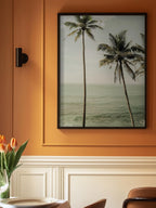 Oceanside Palms