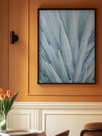 Azure Agave Dance