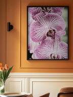 Tiger Blooms
