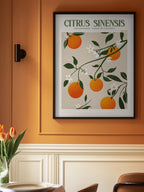 Orange Elegance