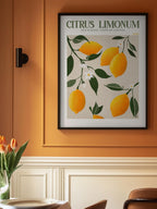 Golden Citrus Delight