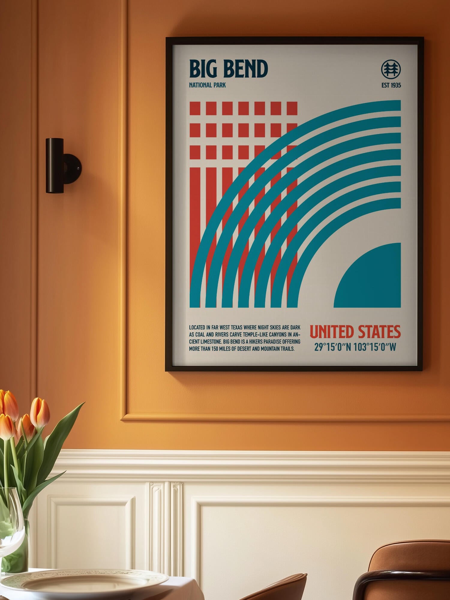 Big Bend National Park Travel Poster