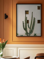 Cabo Cactus IX