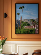 Palm Springs Pink House