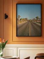 Joshua Tree Road II