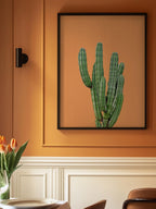 Orange Cactus