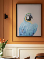 Blue Macaw