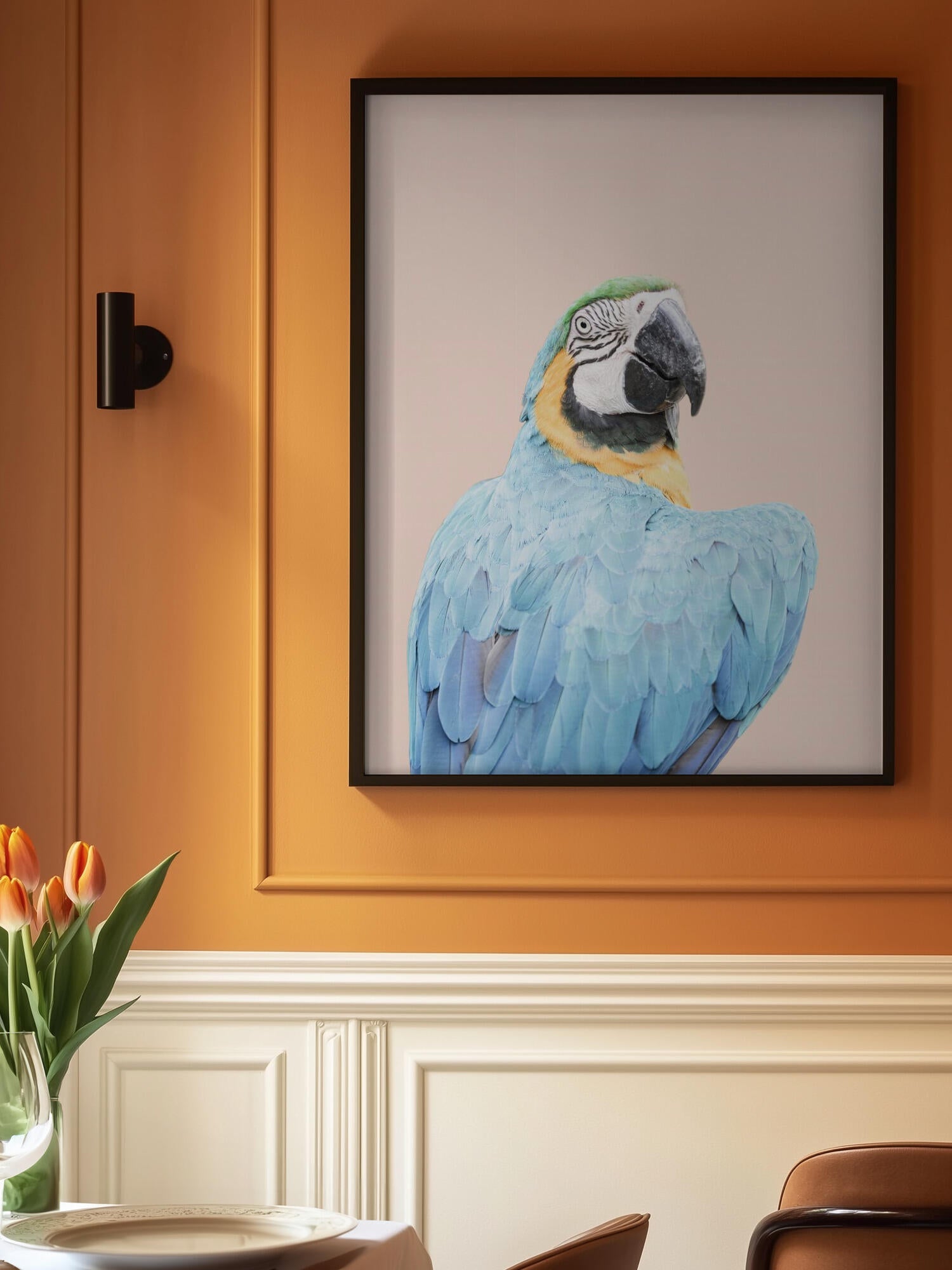 Blue Macaw