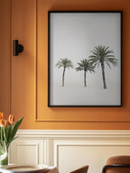 Palms