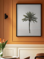 Palm