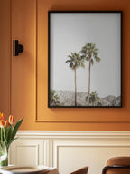 Palm Springs Palms