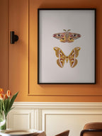 Moths