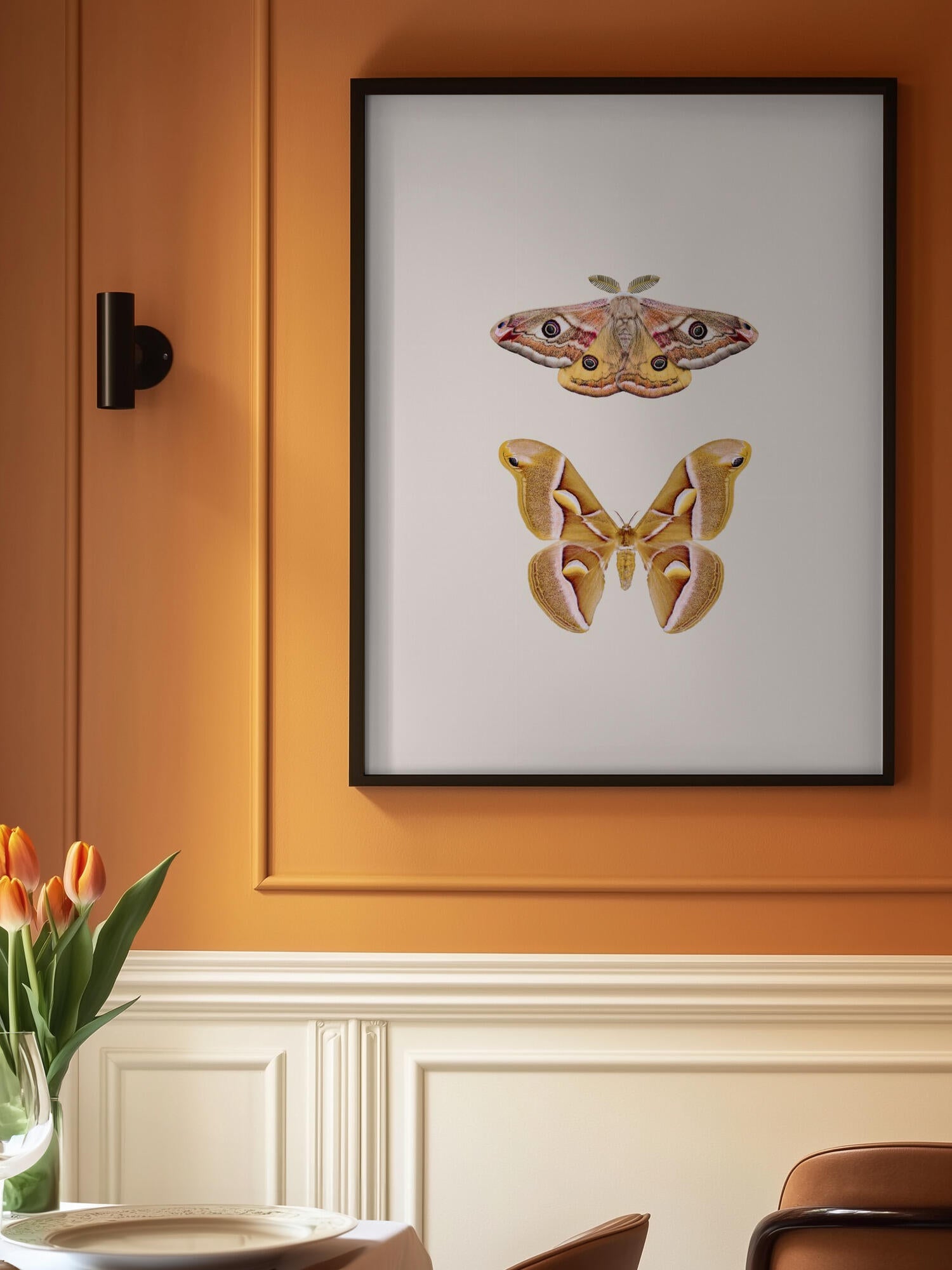 Moths