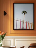 Palm Spring Colors 2
