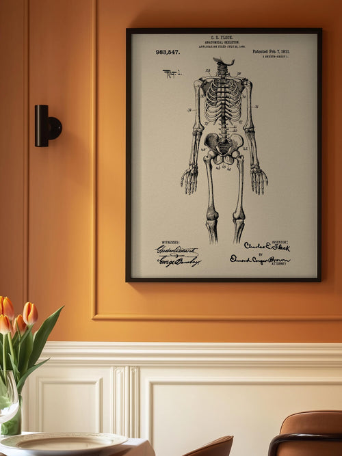 Anatomical Skeleton Patent 1911