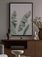 Blush Banana Leaves