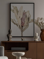 Banksia