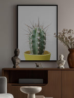 Spikey Cactus