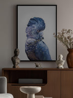 Black Cockatoo