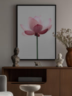 Lotus Flower