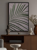 Palm Leaf Shadow