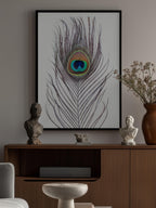 Peacock Feather