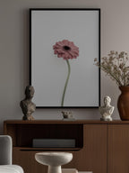 Pink Gerbera
