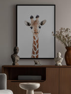 Baby Giraffe