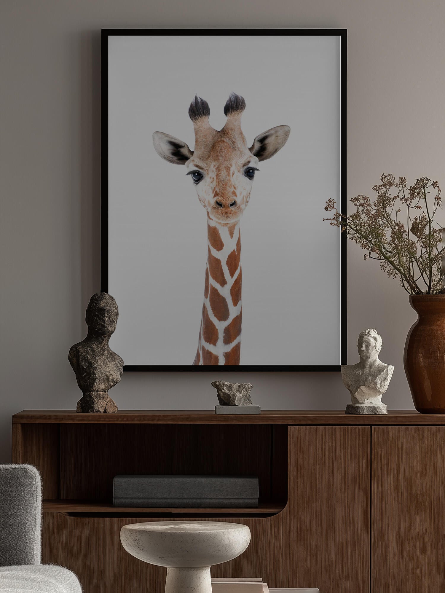 Baby Giraffe