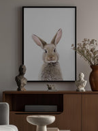 Baby Rabbit
