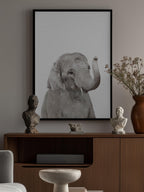 Baby Elephant