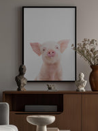 Baby Pig